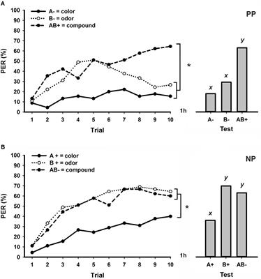 Bimodal Patterning Discrimination in Harnessed Honey Bees